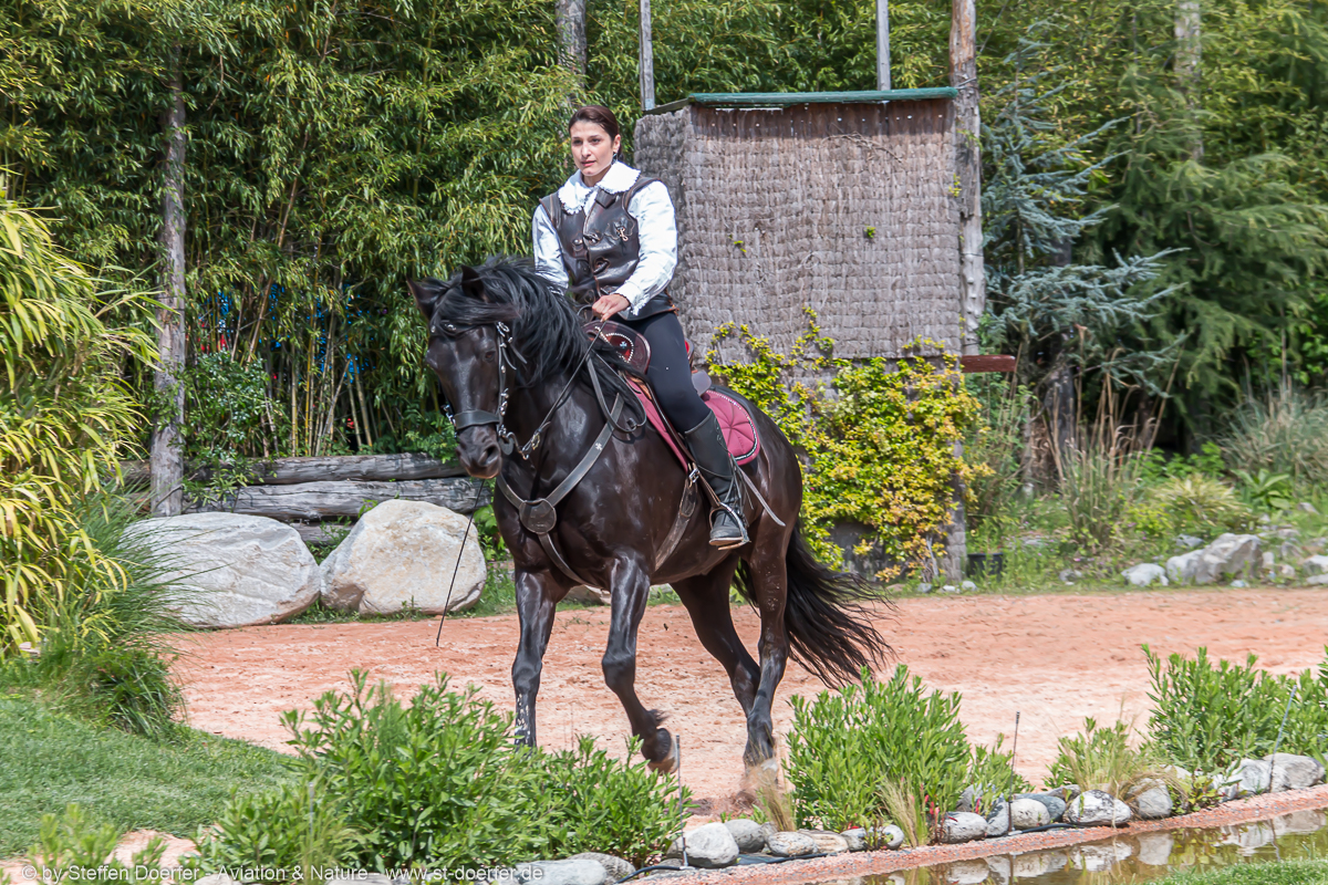 580IMG_7159