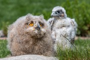 240IMG_6973