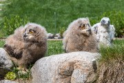 240IMG_6985