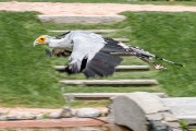 360IMG_7052