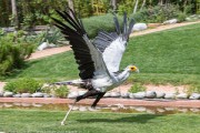 361IMG_7060