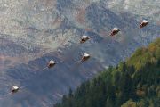 021IMG_0583
