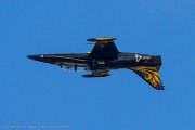 205IMG_1927