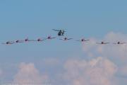 043IMG_9601