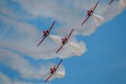 310IMG_7697