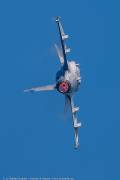 433IMG_9865