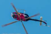 550IMG_5465
