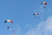 223IMG_8769