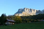 001IMG_0226