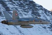 049IMG_0414