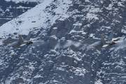 059IMG_0695
