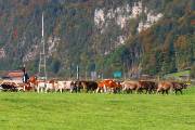 102IMG_0958