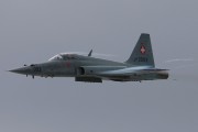 050IMG_9850