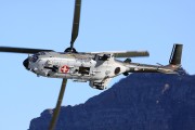 100IMG_1752