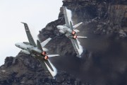 250IMG_0515