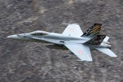 250IMG_0531