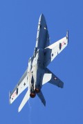 300IMG_1402