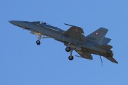 041IMG_3668