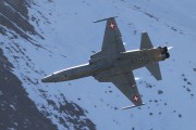 062IMG_2639