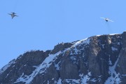 062IMG_3130