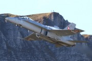 082IMG_2489