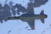 060IMG_5271