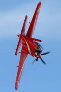 080IMG_4953