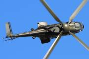 221IMG_5995