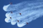 260IMG_6220
