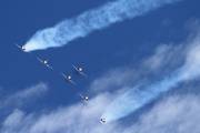 260IMG_6226