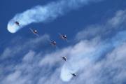 260IMG_6232