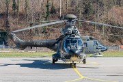 141IMG_5393