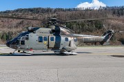 142IMG_5477