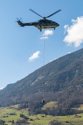 161IMG_5628