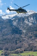 161IMG_5636