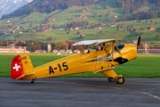 100IMG_0207