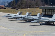 100IMG_4051