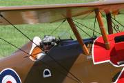 05IMG_1494