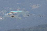 11IMG_0351