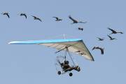 11IMG_0361