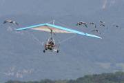 11IMG_9952