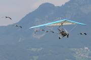 11IMG_9956