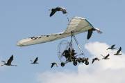 11IMG_9967
