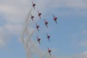 29IMG_2745