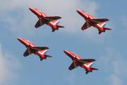29IMG_2835