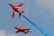 29IMG_2951