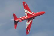 29IMG_2984