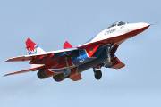 012IMG_8696