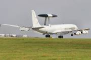 079IMG_8973