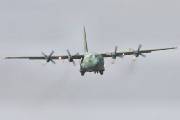 084IMG_8991